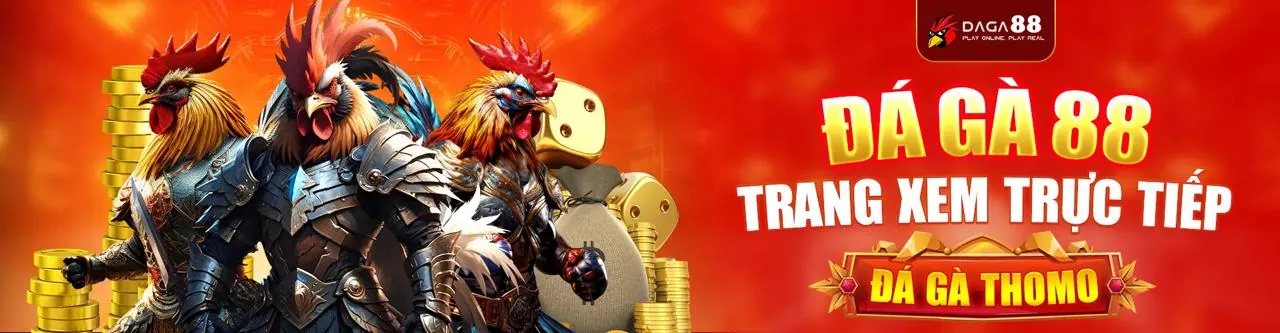 Sảnh Đá Gà Trực Tuyến Hấp Dẫn tại mm99 game